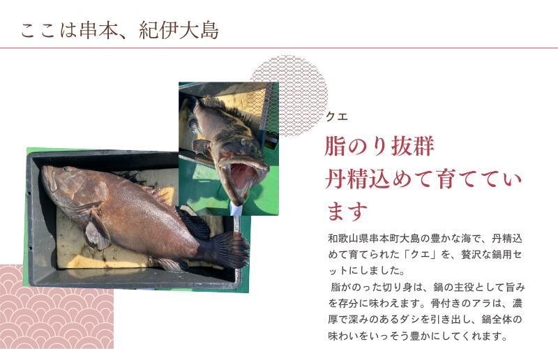 クエ鍋用セット（切り身400g＋アラ200g）【冬季限定・数量限定】【小分け冷凍】【養殖・冷凍】｜和歌山県串本町大島から直送 / クエ鍋 鍋 魚 高級魚 海鮮【oos002】