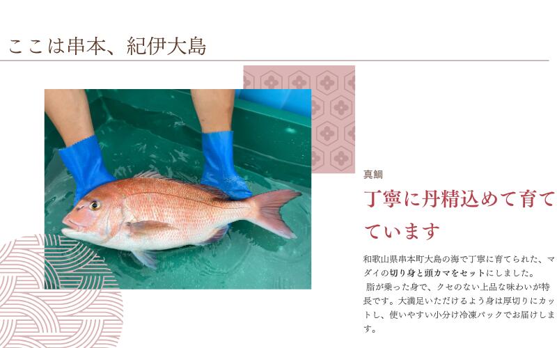 【小分け冷凍】【養殖・冷凍】マダイ鍋用セット（切り身400g＋頭カマ半尾分）｜和歌山県串本町大島から直送【oos004】