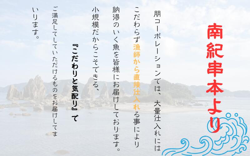 和歌山県産 天然 キハダマグロ 約300g～1kg / まぐろ 鮪 キハダマグロ 海鮮 魚貝 魚【tcr001B-tcr002B-tcr003B】