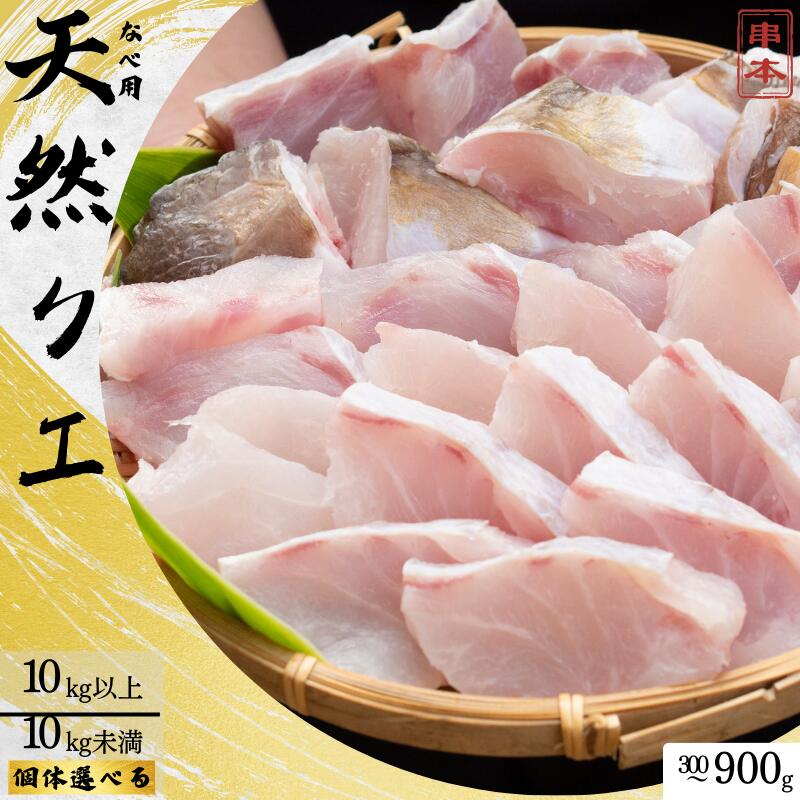 くえ 天然 クエ鍋用 身とアラのセット 10kg以上/10kg未満 1人前300g～3人前900g【tcr008C-tcr009C-tcr010C-tcr011B-tcr012B-tcr013B】