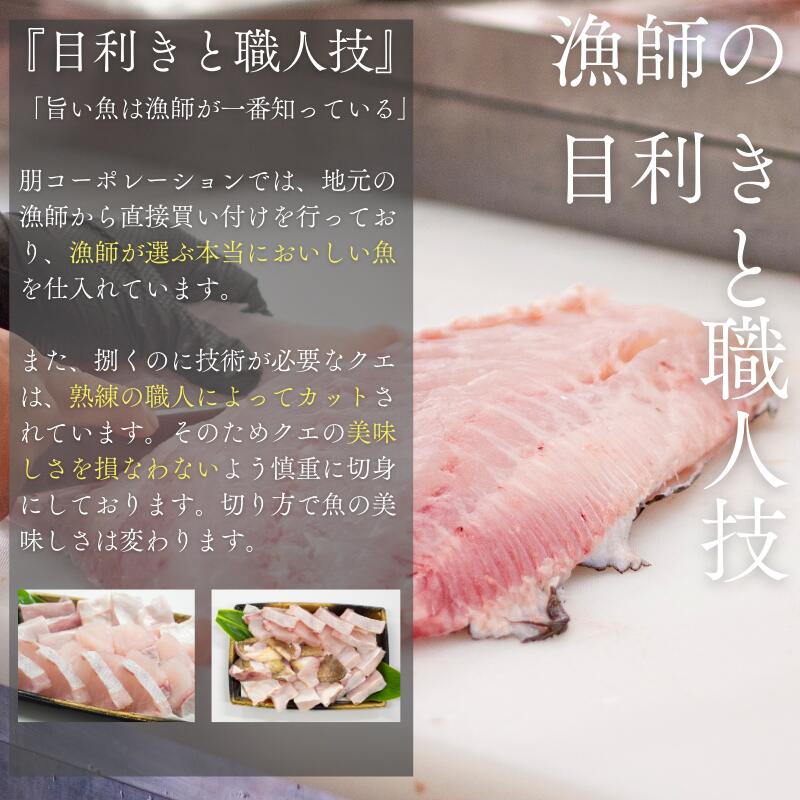 くえ 天然 クエ鍋用 身とアラのセット 10kg以上/10kg未満 1人前300g～3人前900g【tcr008C-tcr009C-tcr010C-tcr011B-tcr012B-tcr013B】