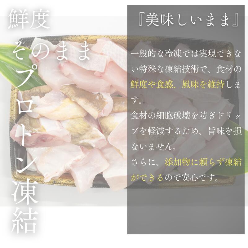 くえ 天然 クエ鍋用 身とアラのセット 10kg以上/10kg未満 1人前300g～3人前900g【tcr008C-tcr009C-tcr010C-tcr011B-tcr012B-tcr013B】