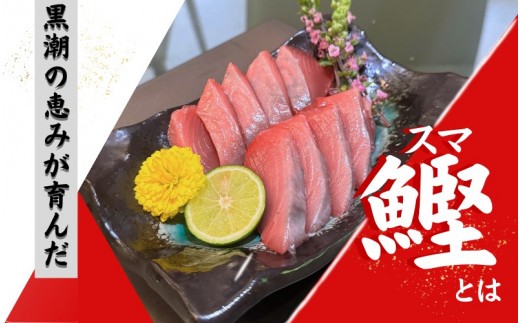 全身トロの幻の魚 高級魚スマガツオ【養殖】【数量限定】700g / かつお 鰹 スマガツオ スマかつお 魚 魚貝 海鮮 養殖 串本町【oos001】