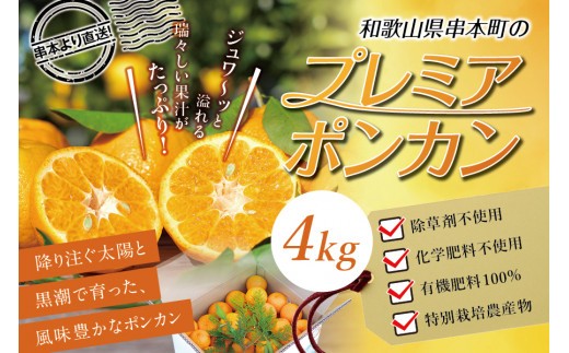 【先行予約】極上！プレミアポンカン 2L～3Lサイズ 4kg 【1月上旬～2月上旬発送予定】 柑橘 ぽんかん フルーツ みかん ミカン オレンジ 限定 旬【sse102】