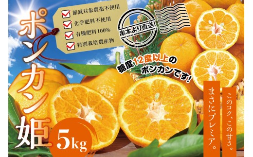 【先行予約】プレミア和歌山認定！ ポンカン姫 5kg 【1月上旬～2月上旬発送予定】 数量限定の極上ポンカン 柑橘類 ぽんかん フルーツ 果実 みかん ミカン オレンジ 旬 限定【sse103】