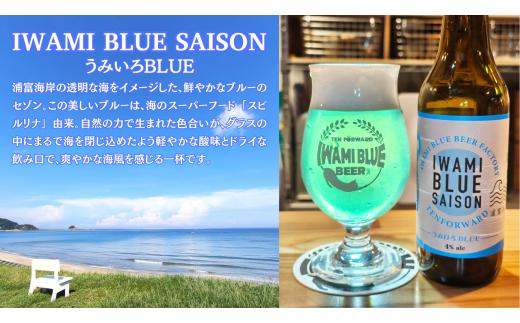 IWAMI BLUE BEER 定番2種セット 6本(各3本)|鳥取 岩美町 クラフトビール お酒 ビール【51020】