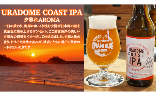 IWAMI BLUE BEER 定番2種セット 6本(各3本)|鳥取 岩美町 クラフトビール お酒 ビール【51020】