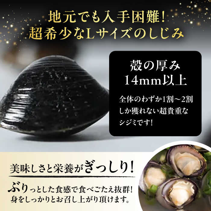地元でも入手困難なレアサイズ！ Lサイズ 宍道湖産ヤマトシジミ(冷凍砂抜き済み)1kg×5袋(5kg)島根県松江市/宍道湖漁業協同組合 [ALAZ001]