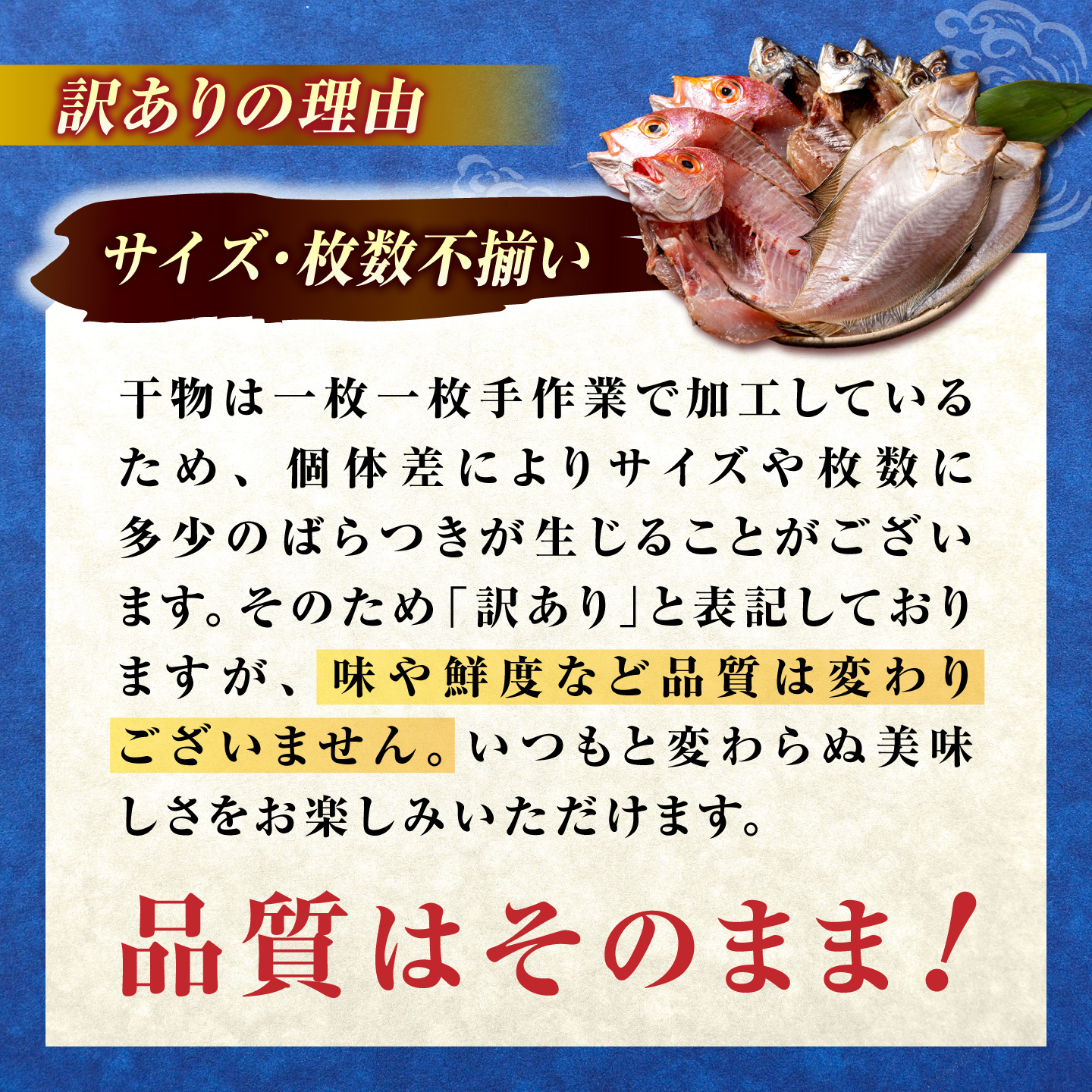 減塩 干物 訳あり 一夜干しセット 計1.7kg [久卜商店 島根県 松江市] [ALAO001]