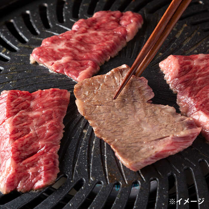 しまね和牛ハラミ焼肉 600g（小分け） [ALEF008]