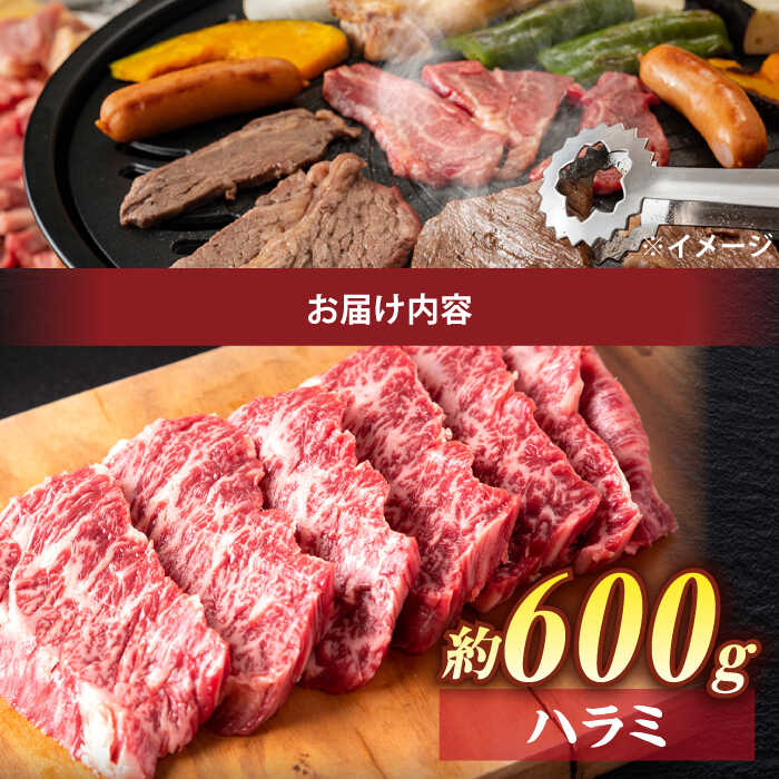 しまね和牛ハラミ焼肉 600g（小分け） [ALEF008]