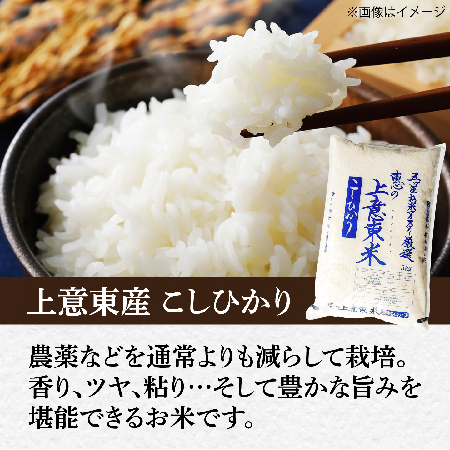 ＜令和8年産 新米 先行予約受付中＞新米コシヒカリ5kg【2026年10月以降発送】島根県松江市/株式会社沼田米穀店 [ALBU018]