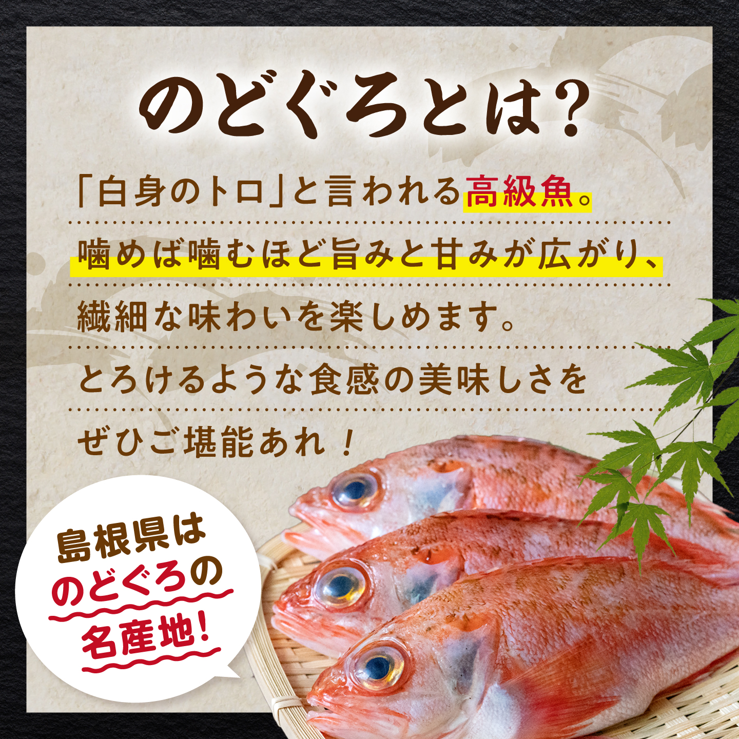 のどぐろ TV放映多数！県内外のファンがわざわざ訪れる 天日ほしもん屋特製 のどぐろ干物×2枚（特大サイズ） 島根県松江市/桝谷鮮魚店 [ALCJ005]