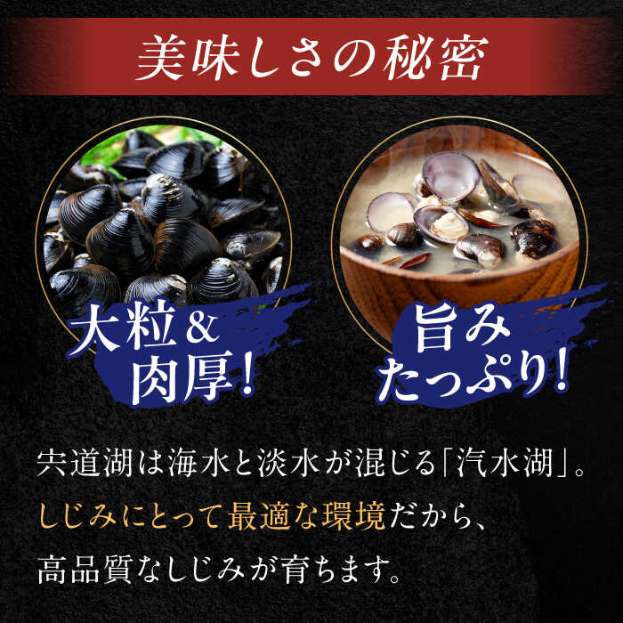 生産量日本一！宍道湖産 ヤマトシジミLサイズ(真空冷凍) 80g×20袋 島根県松江市/有限会社日本シジミ研究所 [ALBS002]
