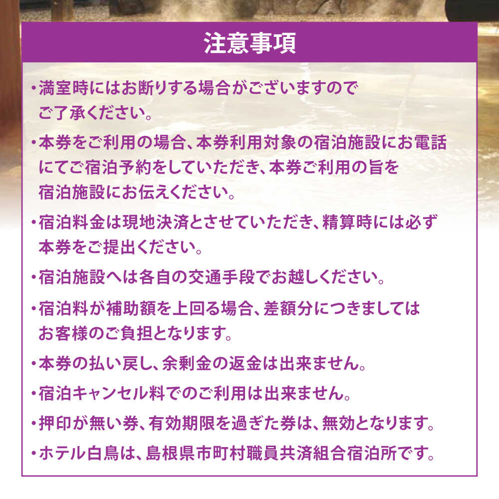 宿泊券【旅館・ホテル共通宿泊券】松江しんじ湖温泉 宿泊補助券 寄附額30万円 90,000円分 島根県松江市/松江しんじ湖温泉旅館協議会 [ALFW006]