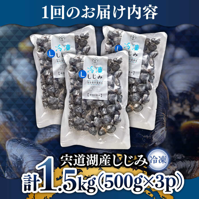 【全12回定期便】食べる分だけさっと使える！宍道湖産 冷凍大和しじみ (L)500g×3袋 島根県松江市/平野缶詰有限会社 [ALBZ041]
