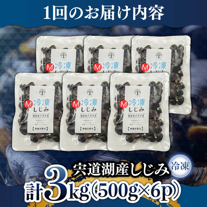 【全6回定期便】食べる分だけさっと使える！宍道湖産 冷凍大和しじみ (M)500g×6袋 島根県松江市/平野缶詰有限会社 [ALBZ034]