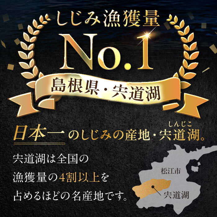 【全6回定期便】食べる分だけさっと使える！宍道湖産 冷凍大和しじみ (M)500g×6袋 島根県松江市/平野缶詰有限会社 [ALBZ034]
