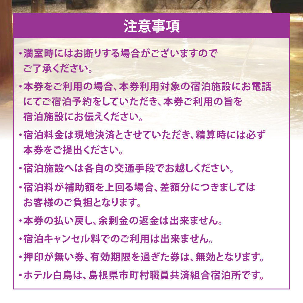 【旅館・ホテル共通宿泊券】松江しんじ湖温泉 宿泊補助券 寄附額 20万円 60000円分 島根県松江市/松江しんじ湖温泉旅館協議会[ALFW005]