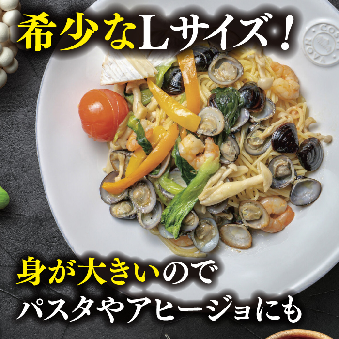 【全12回定期便】宍道湖産 冷凍大和しじみ 砂抜き済 Lサイズ800×2袋(1.6kg) しじみ市場株式会社[ALDK008]