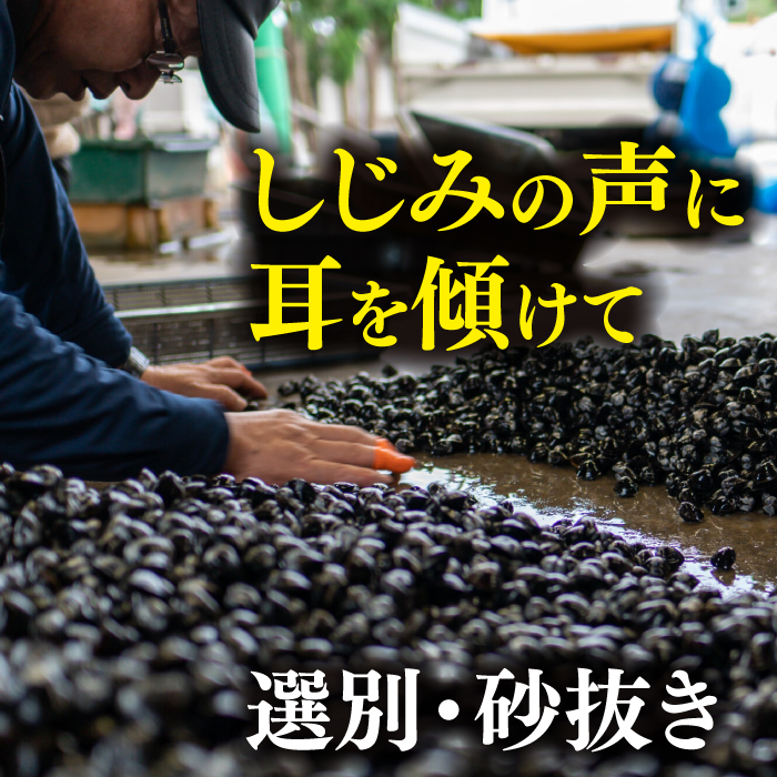 【全12回定期便】宍道湖産 冷凍大和しじみ 砂抜き済 Lサイズ800×2袋(1.6kg) しじみ市場株式会社[ALDK008]