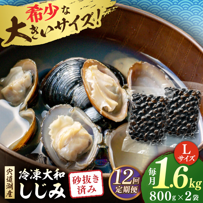 【全12回定期便】宍道湖産 冷凍大和しじみ 砂抜き済 Lサイズ800×2袋(1.6kg) しじみ市場株式会社[ALDK008]