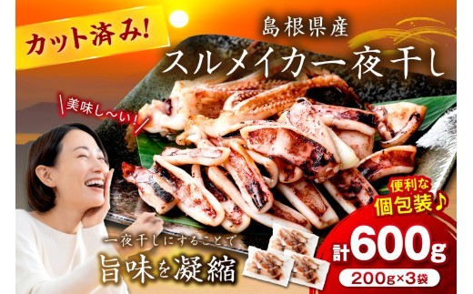 島根県産スルメイカ一夜干しカット済 計600g(小分け200g×3袋) 小分け 干物 一夜干し イカ 魚介類 スルメイカ 【005_2059】