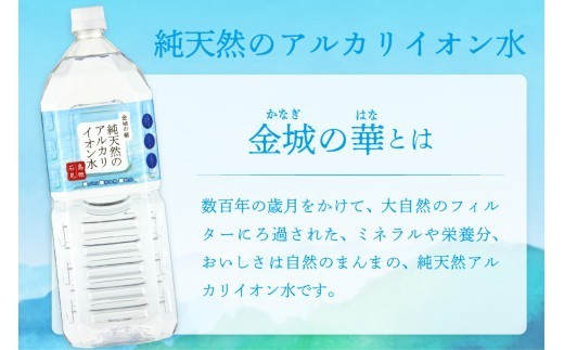【定期便】ミネラルウォーター 金城の華 定期コース 2L 12回 （初回のみ7年保存水同梱）定期便 天然水 飲料水 アルカリイオン 水 【043_1832】