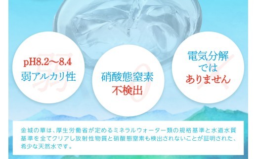 【定期便】ミネラルウォーター 金城の華 定期コース 2L 12回 （初回のみ7年保存水同梱）定期便 天然水 飲料水 アルカリイオン 水 【043_1832】