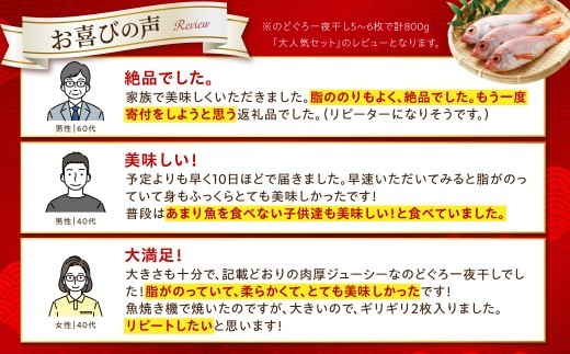 【大人気！産地直送 肉厚ジューシーな のどぐろ！】 のどぐろ専門店シーライフ のどぐろ一夜干し5～6枚で計800g「大人気セット」アカムツ 干物 一夜干し 手頃 小分け 個包装 贈答 ギフト プレゼン