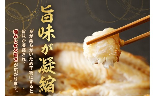 【大人気！産地直送 肉厚ジューシーな のどぐろ！】 のどぐろ専門店シーライフ のどぐろ一夜干し5～6枚で計800g「大人気セット」アカムツ 干物 一夜干し 手頃 小分け 個包装 贈答 ギフト プレゼン