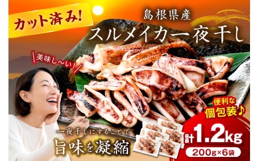 島根県産スルメイカ一夜干しカット済 計1.2kg（小分け200gｘ6袋） いか スルメ 一夜干し 1.2キロ カット済 おつまみ 小分け 個別包装 少量 贈答 ギフト 贈り物 【005_0118】