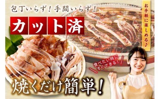 島根県産スルメイカ一夜干しカット済 計1.2kg（小分け200gｘ6袋） いか スルメ 一夜干し 1.2キロ カット済 おつまみ 小分け 個別包装 少量 贈答 ギフト 贈り物 【005_0118】