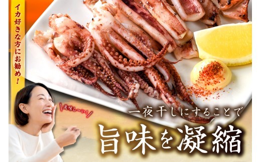 【訳あり】スルメイカ一夜干し”ゲソのみ” 計1,000g（小分け200gｘ5袋） 産地直送 干物 国産 人気 大容量 小分け 訳あり 焼き 揚げ物 塩味付【005_0140】