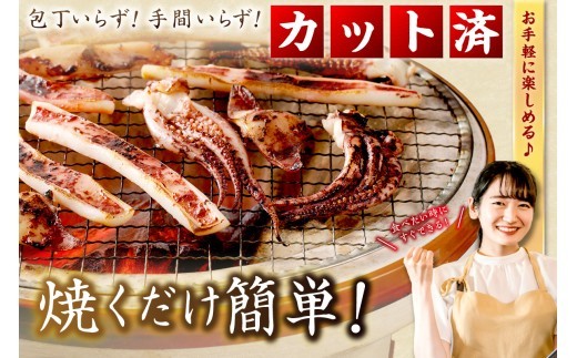 【訳あり】スルメイカ一夜干し”ゲソのみ” 計1,000g（小分け200gｘ5袋） 産地直送 干物 国産 人気 大容量 小分け 訳あり 焼き 揚げ物 塩味付【005_0140】