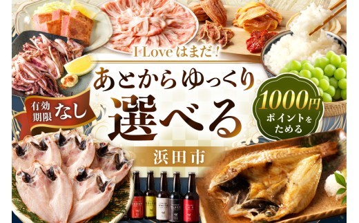 ≪1口・1,000円≫島根県浜田市ポイントをためる あとから返礼品を選ぶ【浜田市】 あとから選べる 選べる 選ぶ あとから あとからセレクト 【140_1538】