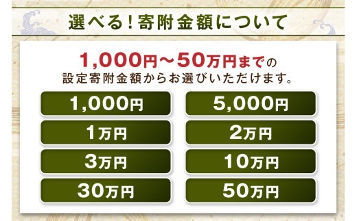 ≪1口・1,000円≫島根県浜田市ポイントをためる あとから返礼品を選ぶ【浜田市】 あとから選べる 選べる 選ぶ あとから あとからセレクト 【140_1538】