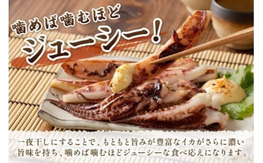 島根県産 スルメイカ一夜干し カット済 600g ゲソ200g付き いか スルメ 一夜干し おつまみ 小分け 個別包装 贈答 ギフト 贈り物 冷凍 【005_0149】