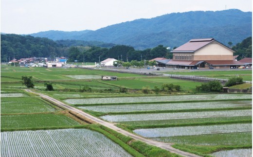令和8年産!邑南町産石見高原瑞穂米5kg