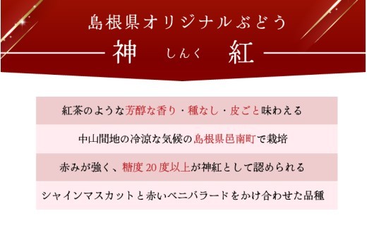【先行予約】島根県限定!幻のぶどう ”神紅(しんく)” 1房 500g 2027年8月中旬より発送!