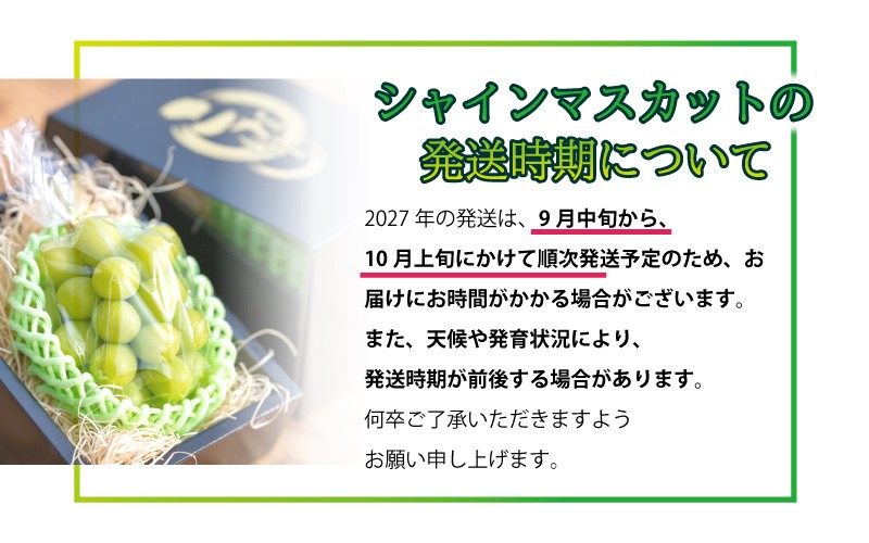 【先行予約】先行予約新鮮フルーツ シャインマスカット 1.2kg 果物 くだもの 化粧箱入り【9月中旬からお届け】