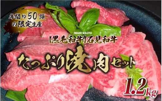 【黒毛和牛】石見和牛たっぷり焼肉セット1.2kg
