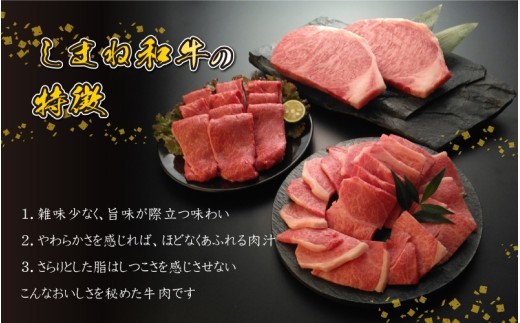 【黒毛和牛】 しまね和牛 小間切れ 500g