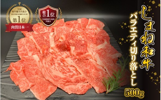 【黒毛和牛】しまね和牛 バラエティ切り落とし 500g