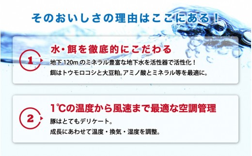 豚肉 石見ポークロースしゃぶしゃぶ・小間切れセット 1300g