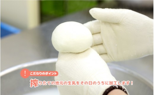 ナチュラルチーズ3種詰め合わせ(ストリング・ゴーダ・のどぐろだし醤油漬けモッツアレラ)