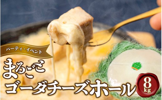 まるごと ゴーダチーズホール 8kg