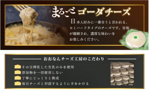 まるごと ゴーダチーズホール 8kg