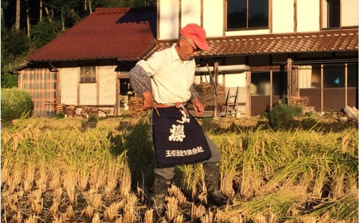 玉櫻 生もと純米酒 1.8L 2本セット