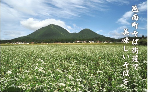邑南十割そば 乾めん ４人前 つゆ付き